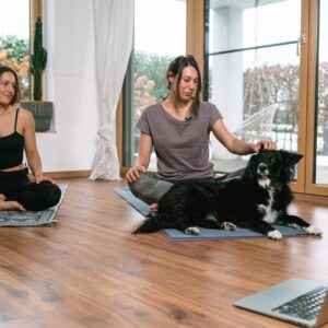 Rückbildungs- Post Natal- und Mama Baby Yoga Online Kurs ab dem frühen Wochenbett inkl. Atemübungen & Meditationen