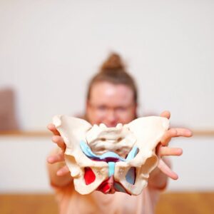 Beckenbodenworkout - Rückbildung online